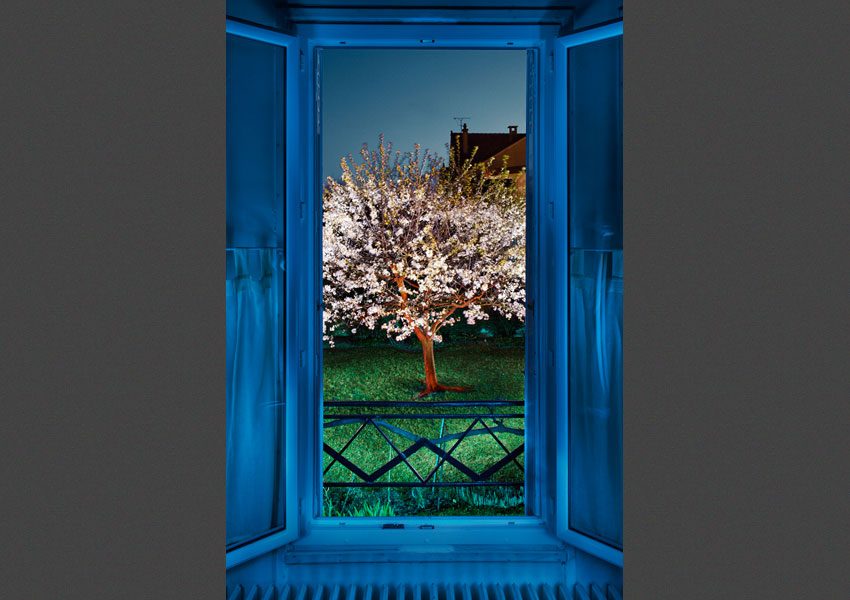 Vu de ma fenêtre, le Printemps, 2010