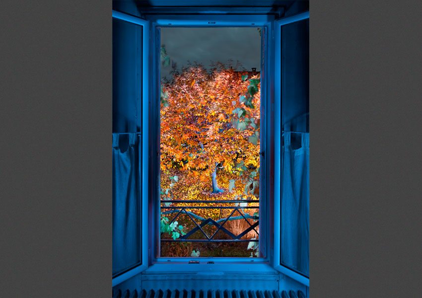 Vu de ma fenêtre, l'Automne, 2010