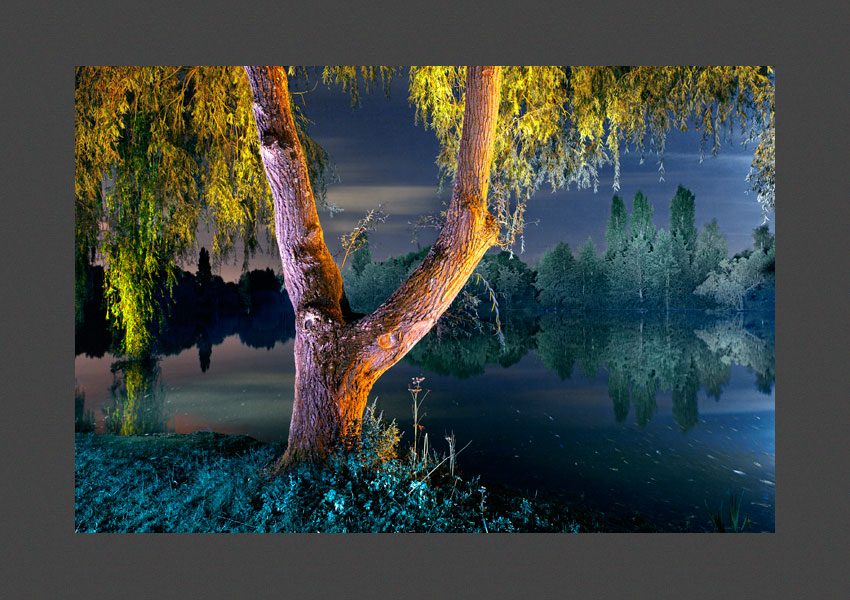 Etang du Gué, Marcoussis, Essonne, 2011