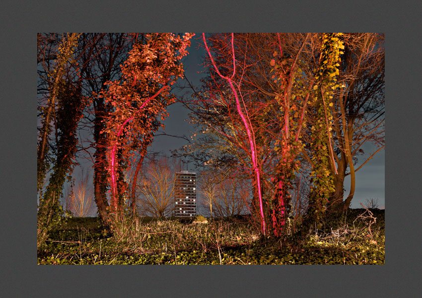 Parc des Guilands, Montreuil, Seine St. Denis, 2014