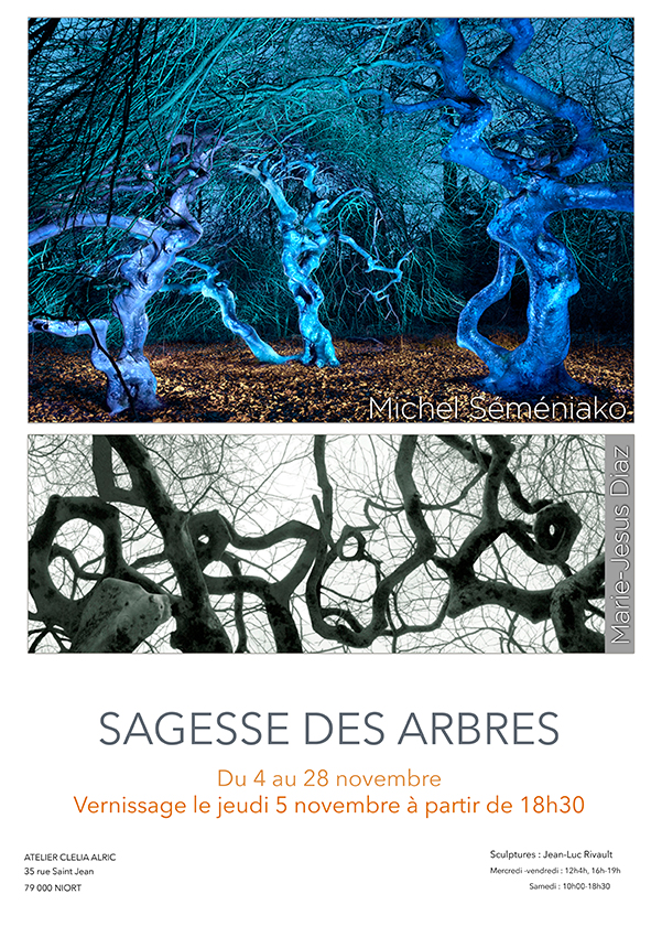 Sagesse des arbres